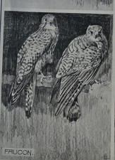 Mathurin meheut couple de - meheut,