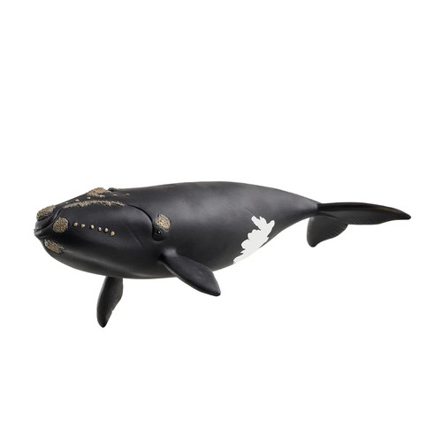Figurine schleich baleine de - figurine,