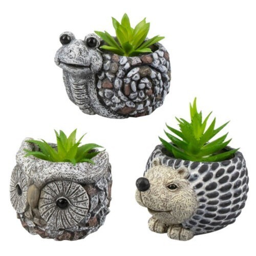 Rowan pot plante - pot, de