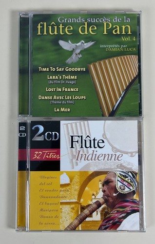 Lot flûte indienne - 2,