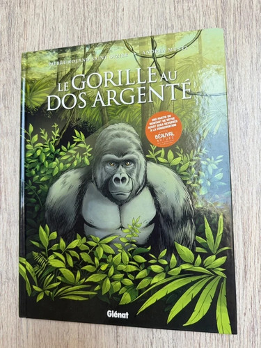 Gorille dos argenté - le, au