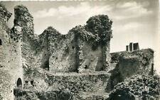 SAINTE SUZANNE ET CHAMMES Ruines donjon et tour Farinière PLus une carte OFFerte