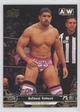 2023 Upper Deck AEW All Elite