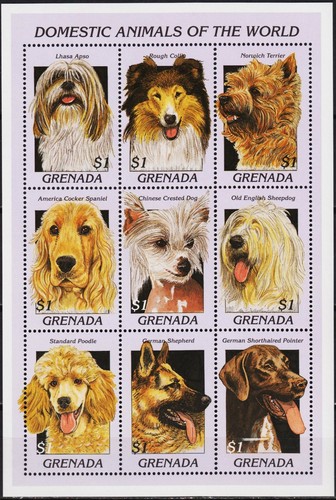 Grenade 1997 chiens collie - grenade,