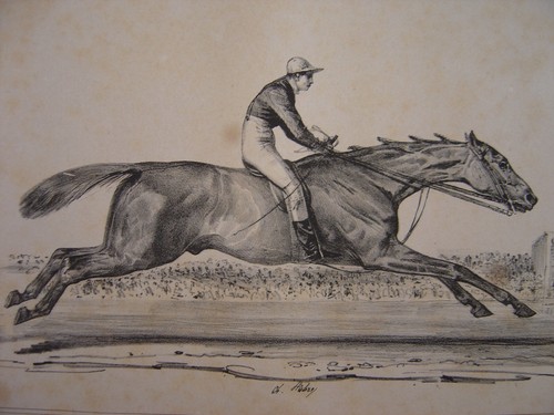 Grande lithographie equitation - lithographie,