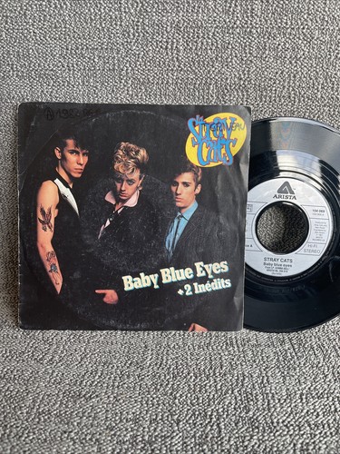 French stray cats baby - -,