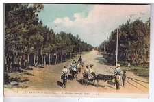 CPA - VENDEE - LES SABLES-D'OLONNE -L'Avenue Georges Godet (Animation, Attelage)