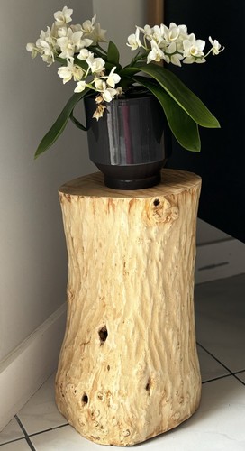 Rondin bois bout de - bois, ,
