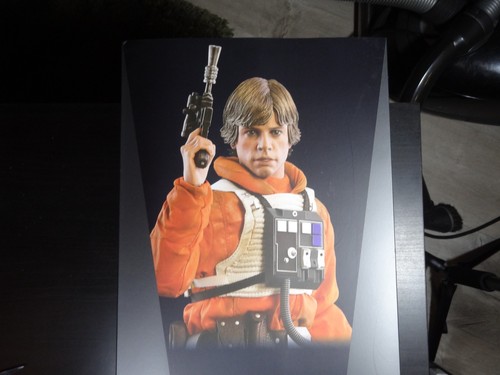 Hot toys star - hot, luke