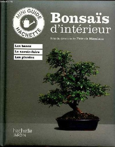 Bonsaïs intérieur - bonsaïs, d'intérieur