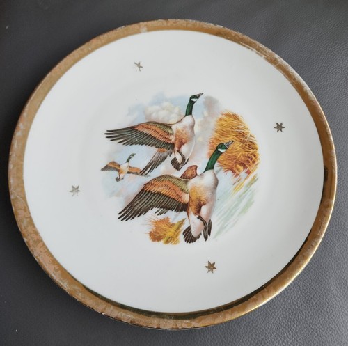 Ancienne porcelaine limoges - ancienne, de