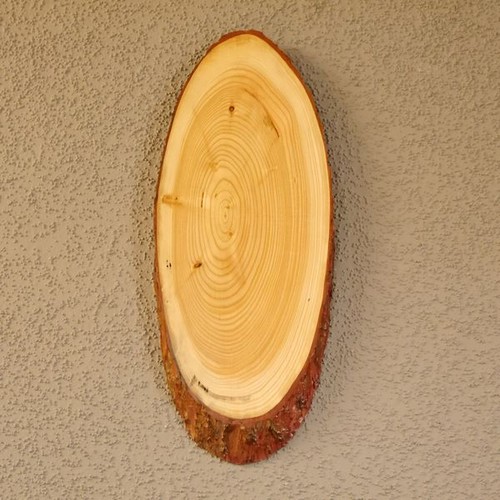 Arc cerf rouge plaque - l'arc,
