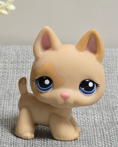 Littlest petshop lps 1447 - petshop, #1447