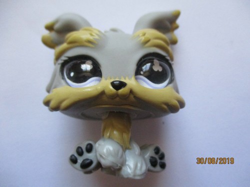 Petshop chien yorkshire 883 - petshop,