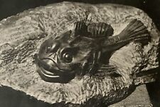 Tableau ancien estampe Art