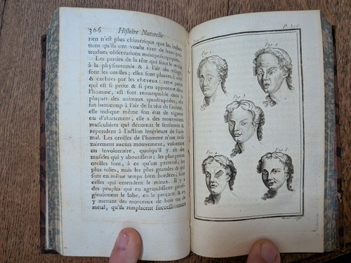 Livre ancien buffon histoire - livre, ancien-