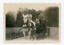 PHOTO SNAPSHOT, homme torse nu short cheval attelage carrosse canotier curiosité