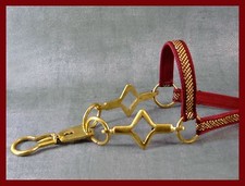   LICOL de présentation pour