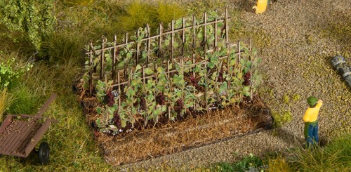 Noch 13224 vignes avec des - noch,