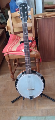 Banjo cordes martinsmith - 6,