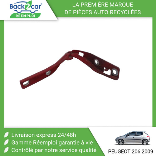 Compas gauche capot - 🏆,