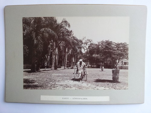 Ceylan sri lanka - ceylan,