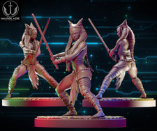 Star Wars SHAAK TI, Jeu de