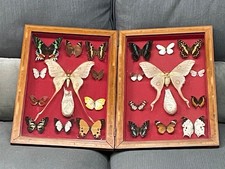 Ancien double cadre bois 22