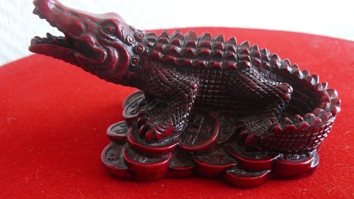 Feng shui crocodile avec - -,