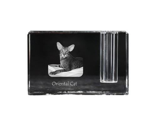 Chat oriental porte stylo - chat,