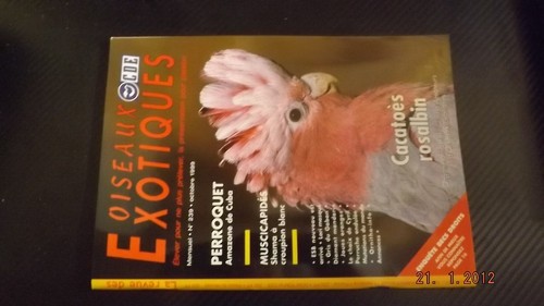 Revue oiseaux exotiques - gc,