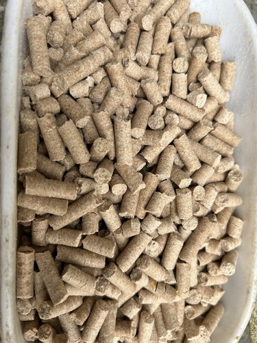 10kg pellets carpe frolic - 10kg,