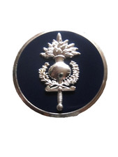 INSIGNE DE BERET LA FGE
