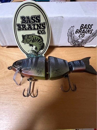 Bass brains big - brains, bait