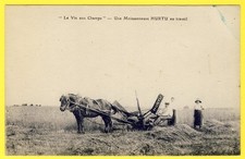 cpa "NANGIS" La Vie aux CHAMPS