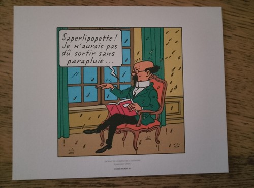 Planche tintin moulinsart - tintin,