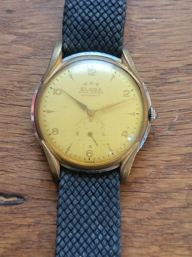 Eloga rubis antimagnetic - 15,