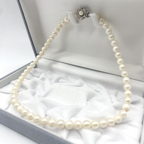 Collier perles akoya lustre - collier,