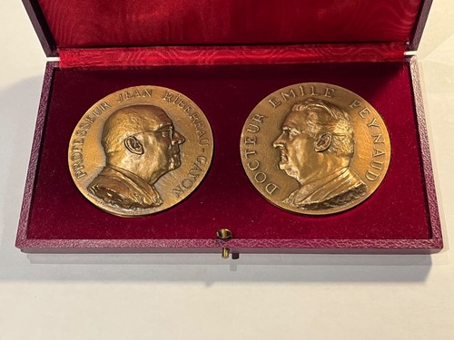 Médaille professeur - médaille,