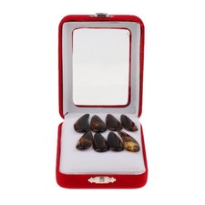 Le  Durable De Cithare