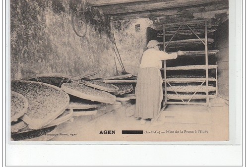 Agen mise la prune - de,
