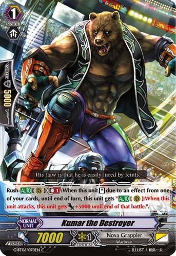 Bushiroad cardfight vanguard - cardfight,