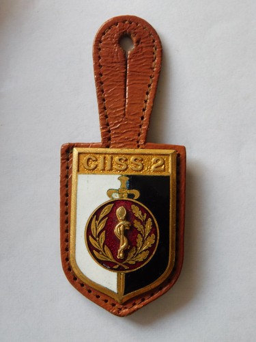 Insigne sercice sante ciiss - sercice,