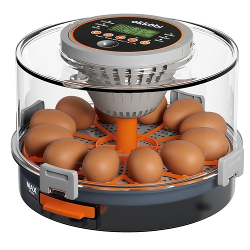 Couveuse incubateur oeufs - incubateur, 12