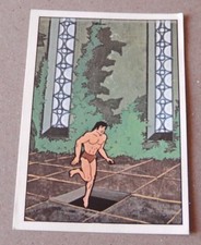Figurine PANINI : TARZAN N°