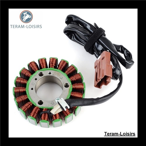 Stator allumage pour - stator,