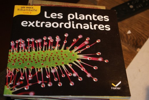 Les docs ribambelle - docs, cycle