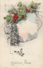 CP VIENNE HEUREUSE ANNEE CADRE