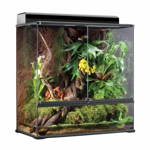 Exo terra terrarium paludarium - terra,
