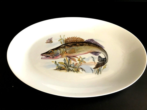 Plat poisson porcelaine - plat,